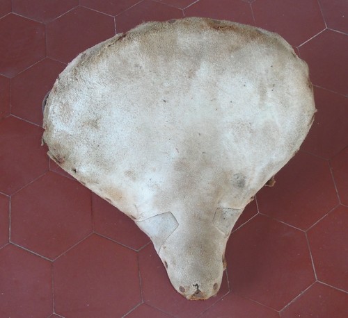 Selle moto années - moto,